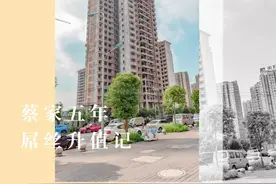 蔡家，下一个富人区图片