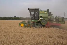 聊城市冠县：综合利用让小麦秸秆“变废为宝”图片