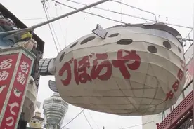 “坚持不下去了”，日本最著名百年河豚料理店因新冠疫情倒闭图片