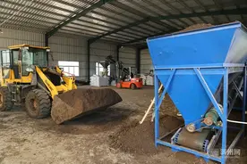 惠民何坊：牛粪变成了“抢手货”图片