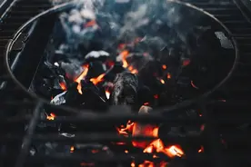 隐食记｜烧烤：火焰里的上古美味图片