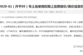开平龙东片区64亩地块摘牌图片