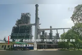 刚“出炉”的成品油长啥样？来炼油厂“绿色小屋”看看视频封面
