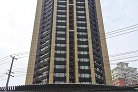 入睡后，老鼠在天花板里乱窜……上海这栋精装住宅何来鼠害成“灾”？图片