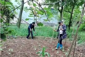 通江县委统战部驻村干部屈炯：心系趱寸坡村图片