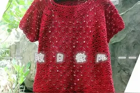 朱槿：女士夏季方领插肩套头短袖衫（有编织图解）图片