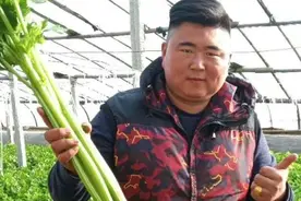 “芹菜大王”赵金宝：对摊位依赖小，直接送货上门图片