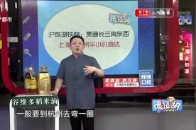 沪苏湖铁路，贯通长三角东西  上海至湖州半小时直达视频封面