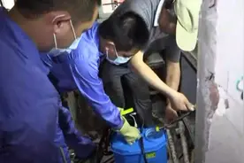 沪白蚁爆发，“白蚁猎人”精准灭杀视频封面