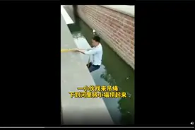 太有爱！小伙下臭水沟救流浪猫，网友：救驾有功，封御前一品带铲侍卫图片