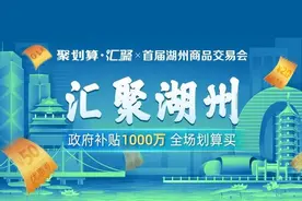 湖州1000万元消费券来了，来“南太湖号”客户端一键抢！图片
