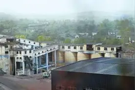 废置宿舍楼变身食用菌种植基地 一个关闭矿井的逆袭图片