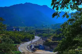 海岛寻梦｜说蛇（上）我生肖属蛇，但我却很怕蛇图片