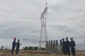 暖心！东方白鹳在电网铁塔上“安家”国网吉林检修公司加装挡板保护鸟类和输电安全图片