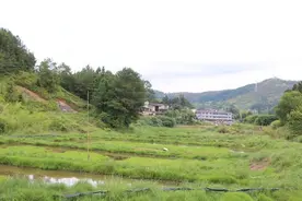 到永泰尝清水小龙虾，过个快乐夏天图片