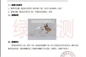 简爱公布虫卵事件调查结果 称酸奶无质量问题图片