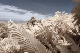 被“骂”上热搜的一加到底是谁？图片