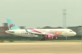2022年杭州亚运会首架彩绘飞机亮相图片