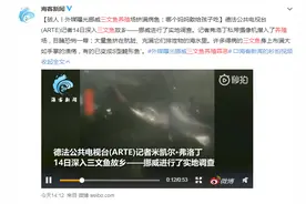 外媒曝光挪威三文鱼养殖环境：病鱼身上布满手掌大的溃疡，有的已成为S型畸形鱼图片