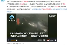 外媒曝光挪威三文鱼养殖环境：病鱼身上布满手掌大的溃疡，有的已成为S型畸形鱼图片