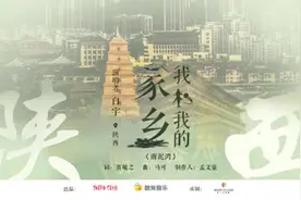 听白宇唱《南泥湾》再现陕北的“好江南”| 我和我的家乡图片