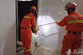 惊险！剧毒五步蛇闯入祁门一学校女生浴室图片