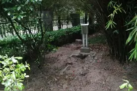 基站辐射大？花木路5G基站建设遭反对，铁塔公司：辐射小于手机图片