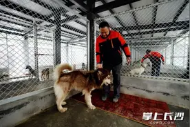 违法养犬，长沙多位市民被处罚图片
