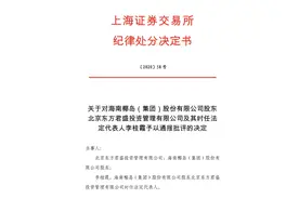 大股东遭上交所通报批评，海南椰岛重组事项或将生变？图片