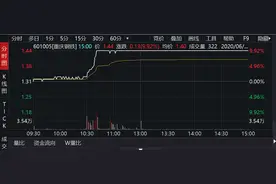 中国第一钢铁巨头大动作！锁定目标强势涨停，产业整合提速图片