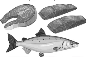 三文鱼还能吃吗？关于“舌尖上的安全”专家这样说图片