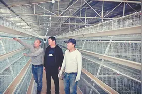 高科技环保“养殖航母”扬帆起航图片