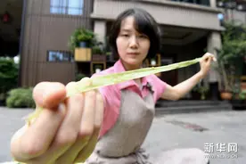 重庆荣昌：古老夏布迎新生图片
