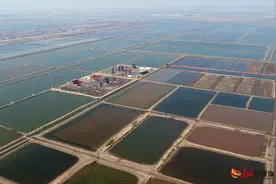 河北唐山：盐田油井生态美图片