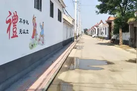 潍坊寿光市田柳镇：全域推进“户户通”让“民心路”通户户图片