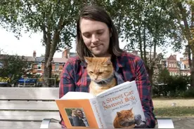 《流浪猫鲍勃》原型猫去世，主人悼念：我生命中的光已经熄灭图片