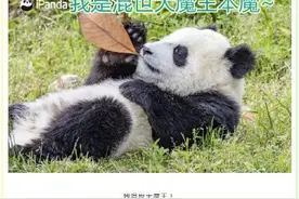 撩人你最行！来自国宝憨憨的土味情话合集图片