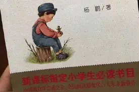 封面独家｜畅销儿童读物现自杀桥段引争议 杨红樱：一年前已删改，将收回老版本图片