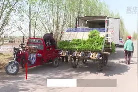 盐碱地播有机稻 土特产立新招牌视频封面