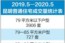 一年成交30458套！昆明人最中意这种户型图片