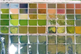 43秒｜犹如平铺在大地的调色盘！威海荣成这处百年盐田美了眼帘图片