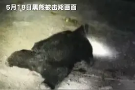 四川3村民被黑熊咬死家属获赔偿：每名遇难者家属获29万余元图片