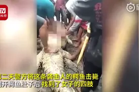 可怕！外国女子被鳄鱼袭击并失踪，警方在鳄鱼肚子里找到遗体图片
