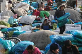 北京新发地：大叔大妈的乐园，谋生者的淘金乐土图片