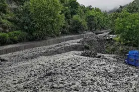 四川金川县金江村发生泥石流灾害 转移451人图片