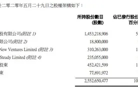 阳光100中国：股权高度集中，少数股东持96.95%股份图片