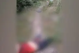 江油遭黑熊袭击遇难3村民家属均获赔29万视频封面