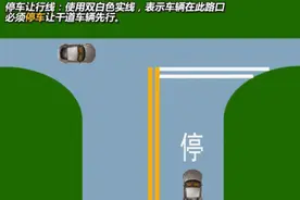 交通标识小课堂丨停车让行线图片