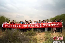 宁夏10年防沙治沙103.72万公顷图片