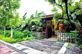 昔日旧水泥厂变成网红民宿，闹中取静惊艳时光！里水乡村的美不一样……图片